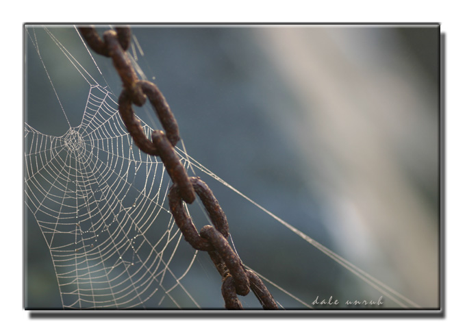 silk and steel